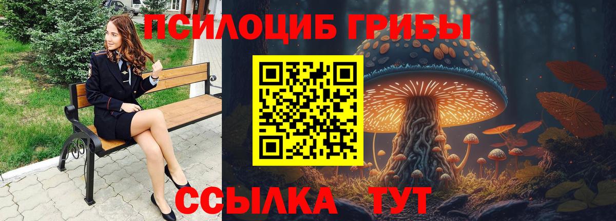 Псилоцибиновые грибы Psilocybe  Псилоцибиновые грибы MAGIC MUSHROOMS  Вход с VPN  Елабуга 